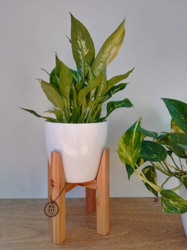 decoración y accesorios - Artículos únicos para decorar tu hogar. 6