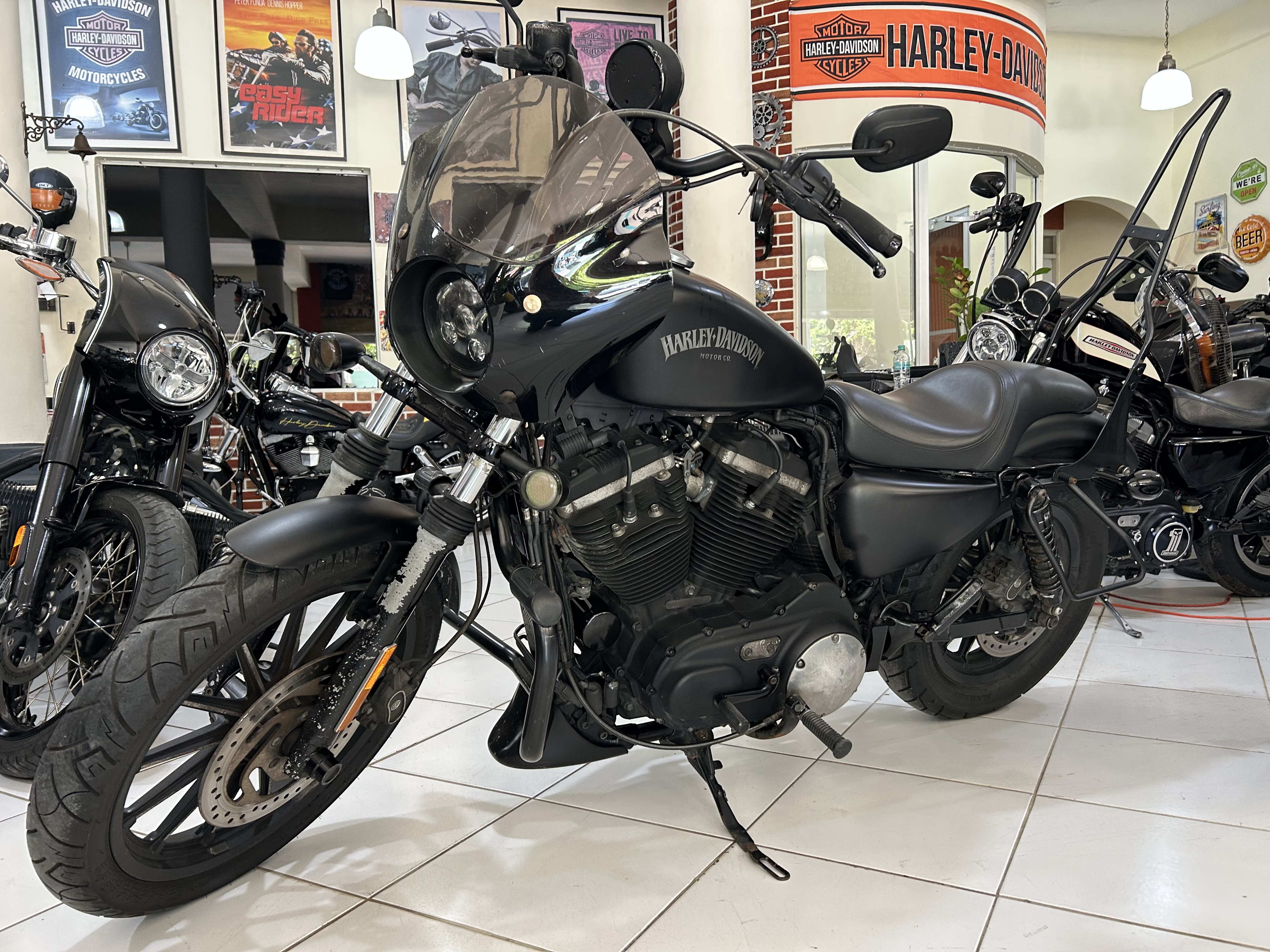 motores y pasolas - Harley Davidson Sportster 883 Año 2016 1
