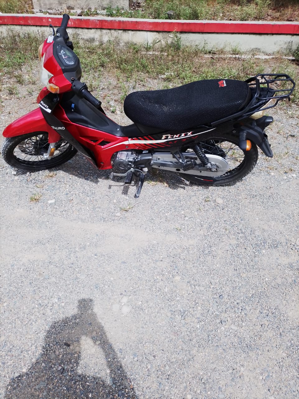 motores y pasolas - Motor Fenix Tauro 110 2