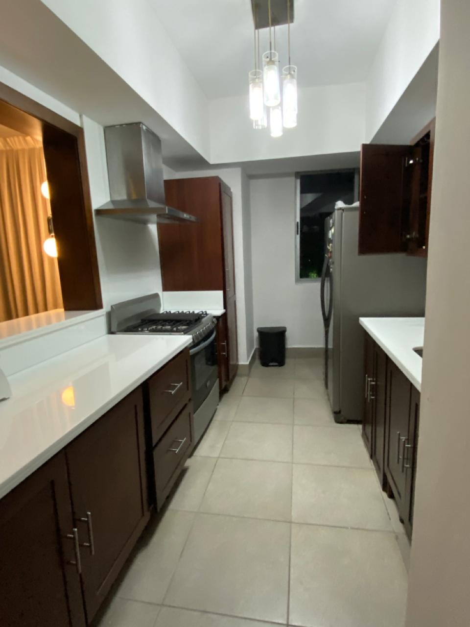 apartamentos - Alquilo Apartamento Amueblado en Piantini 5