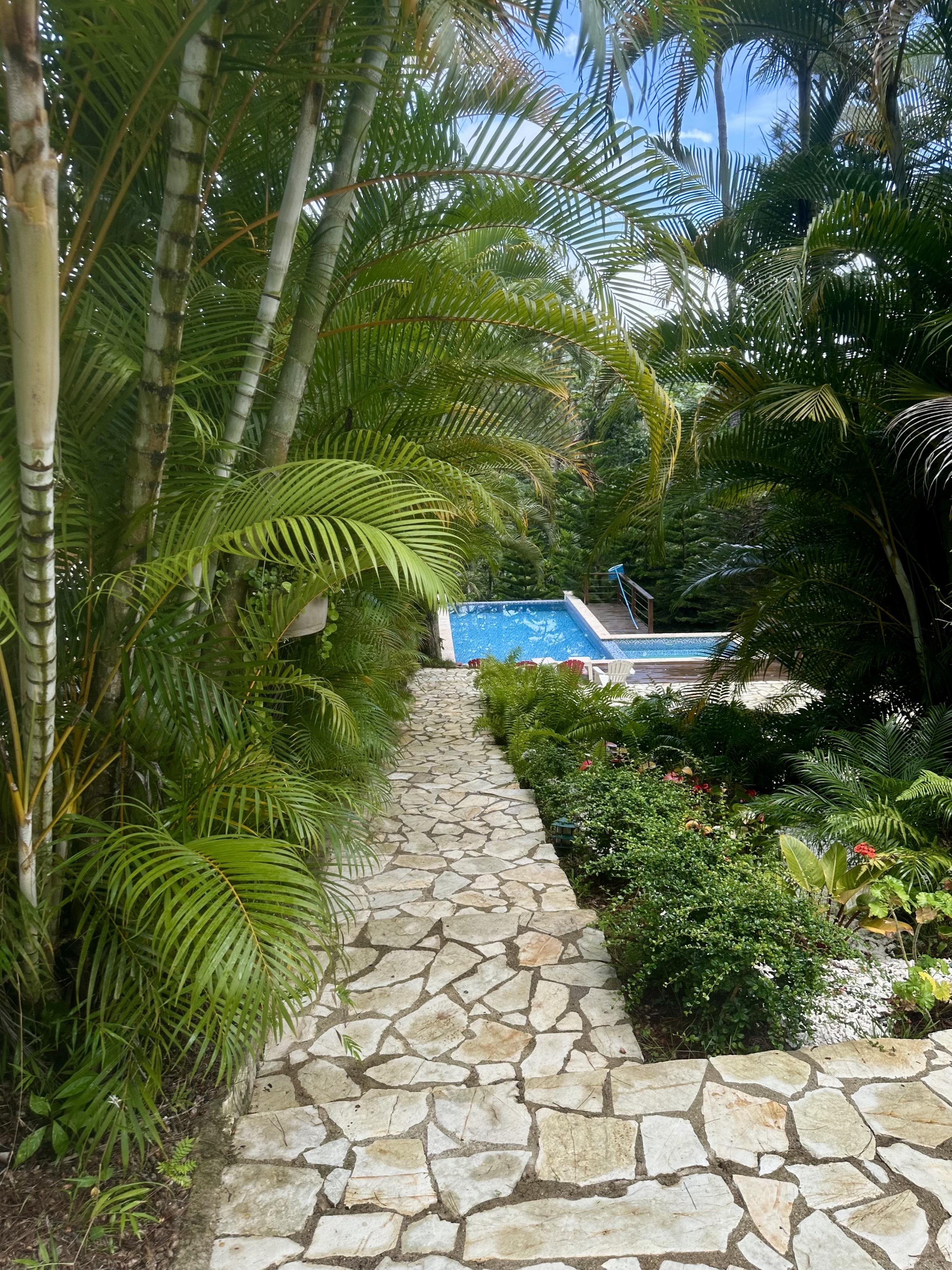 casas vacacionales y villas - Descubre tu refugio ideal en Monte Bonito, Jarabacoa. Naturaleza, lujo y paz. 7