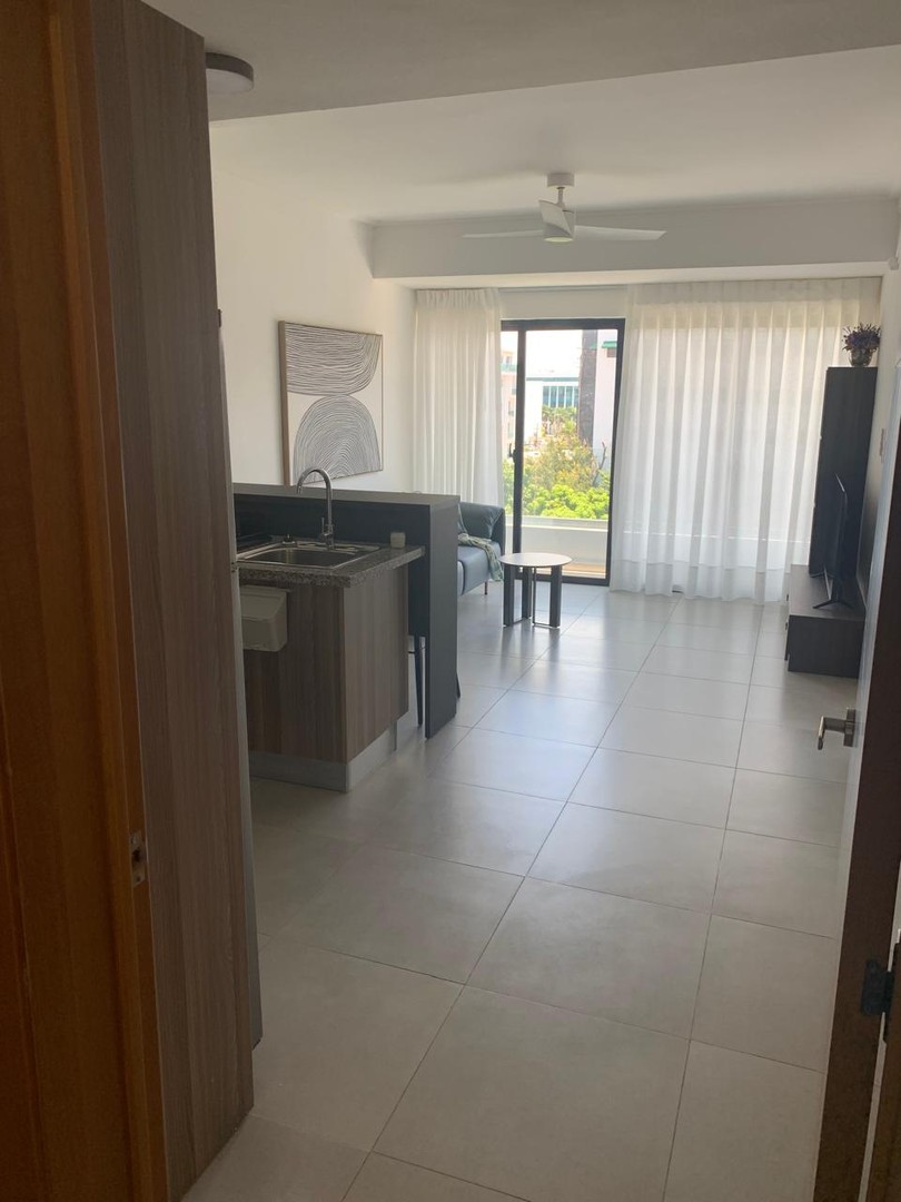 apartamentos - Alquiler Apartamento Amueblado de 1 Habitación, El Vergel, Santo Domingo 0