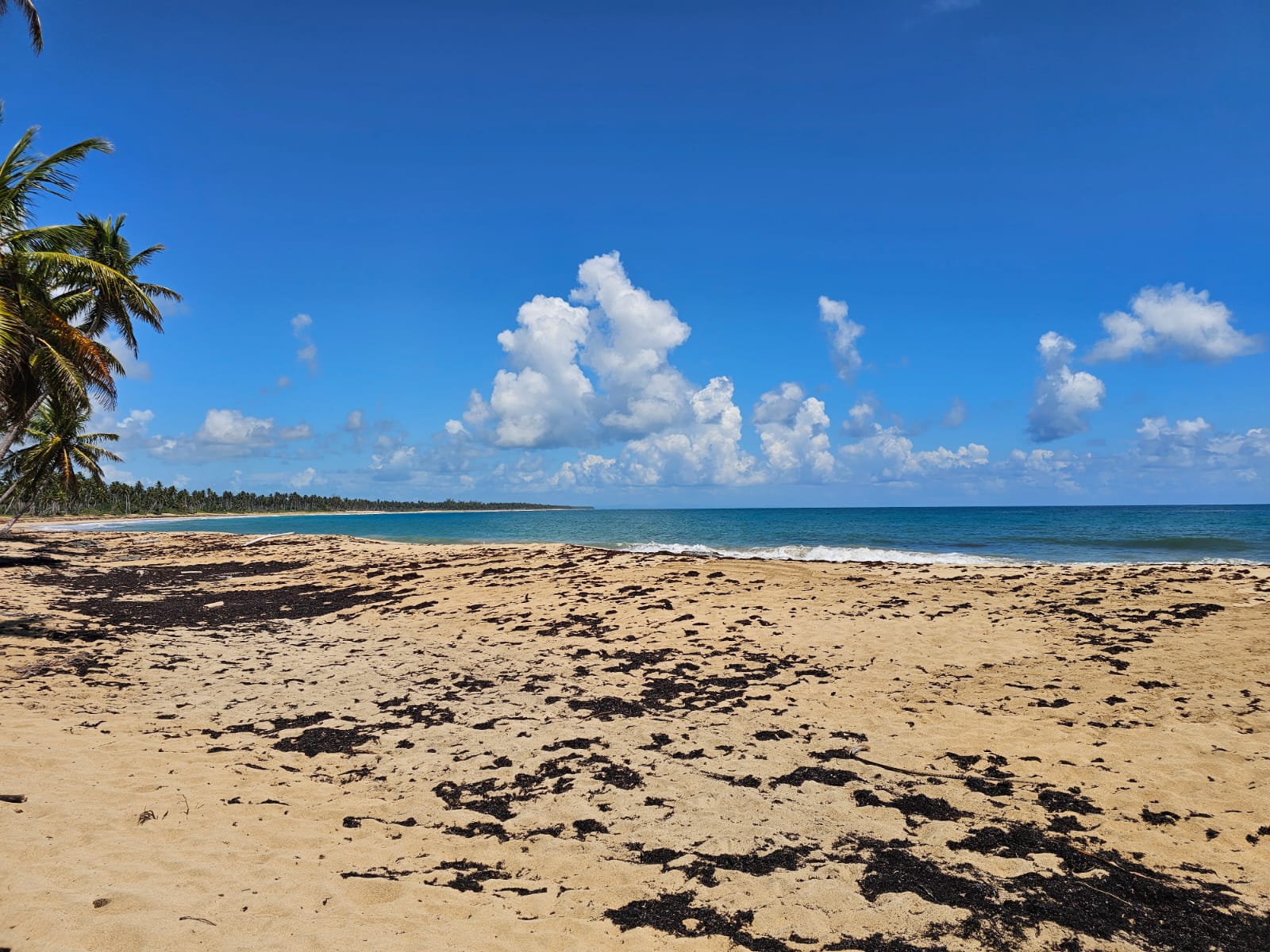 solares y terrenos - VENDO EN PLAYA EL LIMÓN EN MICHES HERMOSOS TERRENOS A PIE DE PLAYA  2