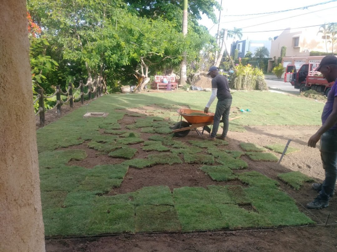 herramientas, jardines y exterior - Gramas Dominicanas / La Mejor Grama Natural Del País  8