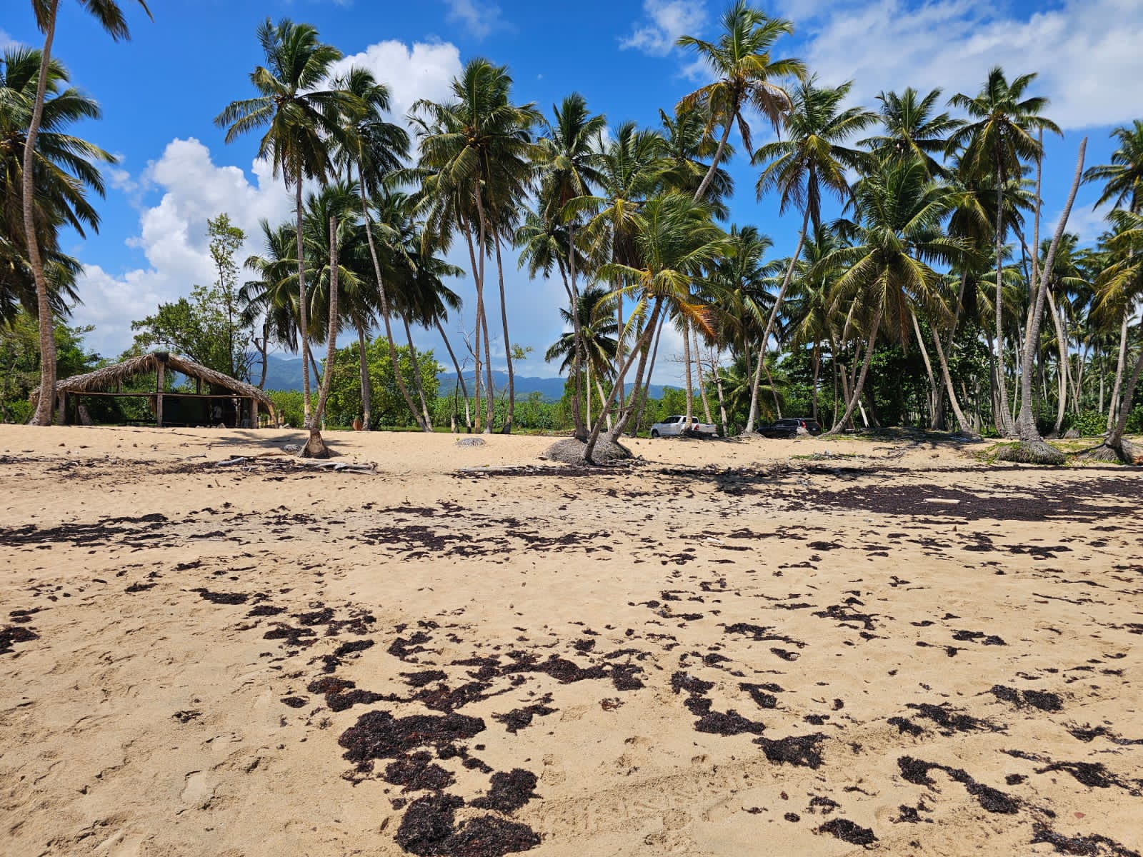 solares y terrenos - VENDO EN PLAYA EL LIMÓN EN MICHES HERMOSOS TERRENOS A PIE DE PLAYA  0