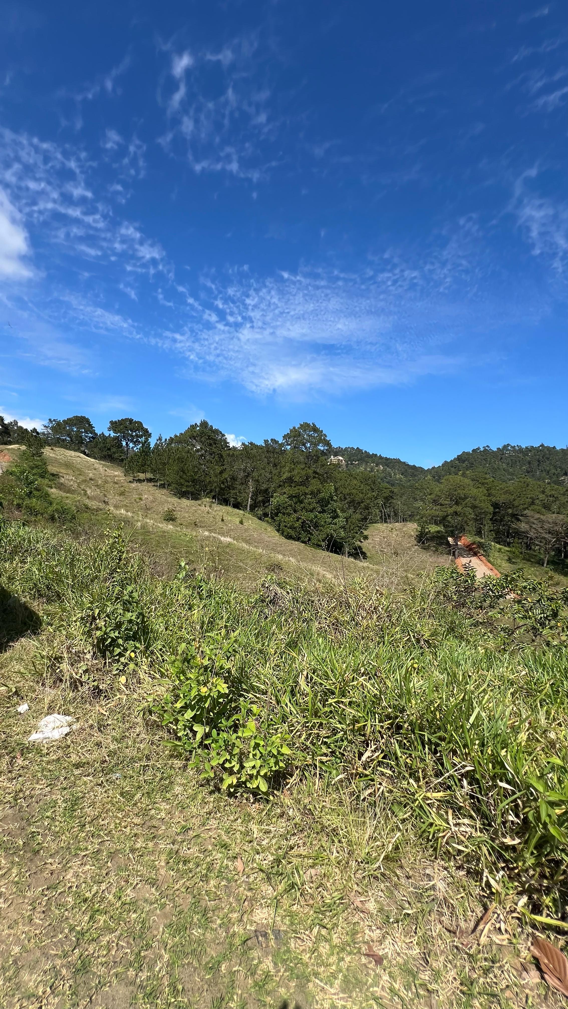 solares y terrenos - Terrenos en venta en Jarabacoa 2