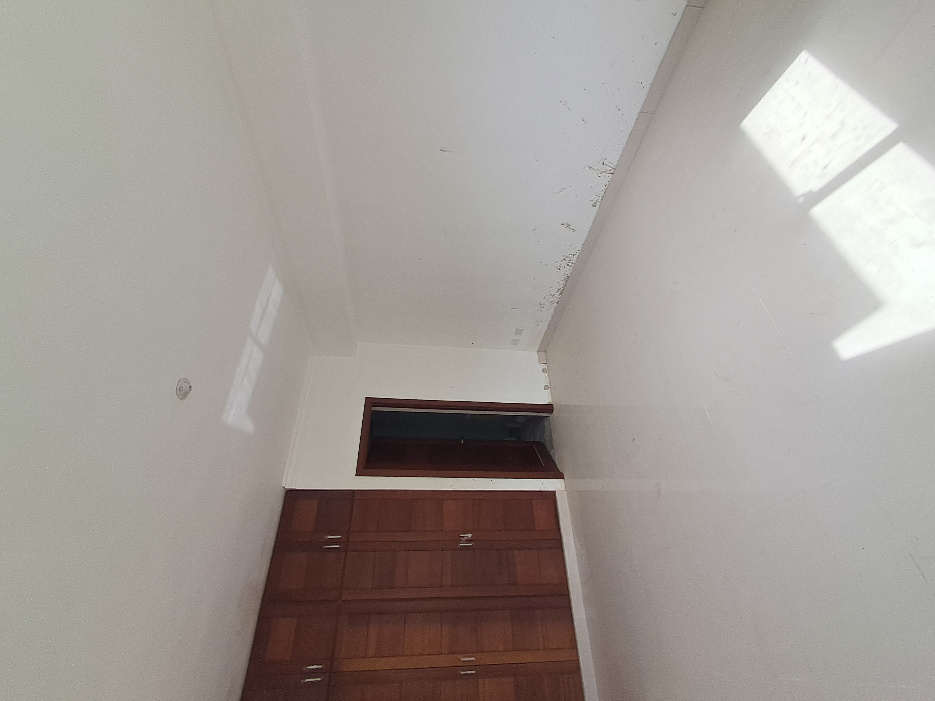apartamentos - Apartamento a estrenar una habitación en Gazcue 2