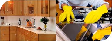 servicios profesionales - LIMPIEZA PROFESIONAL EMPRESARIAL  & RESIDENCIAL 3