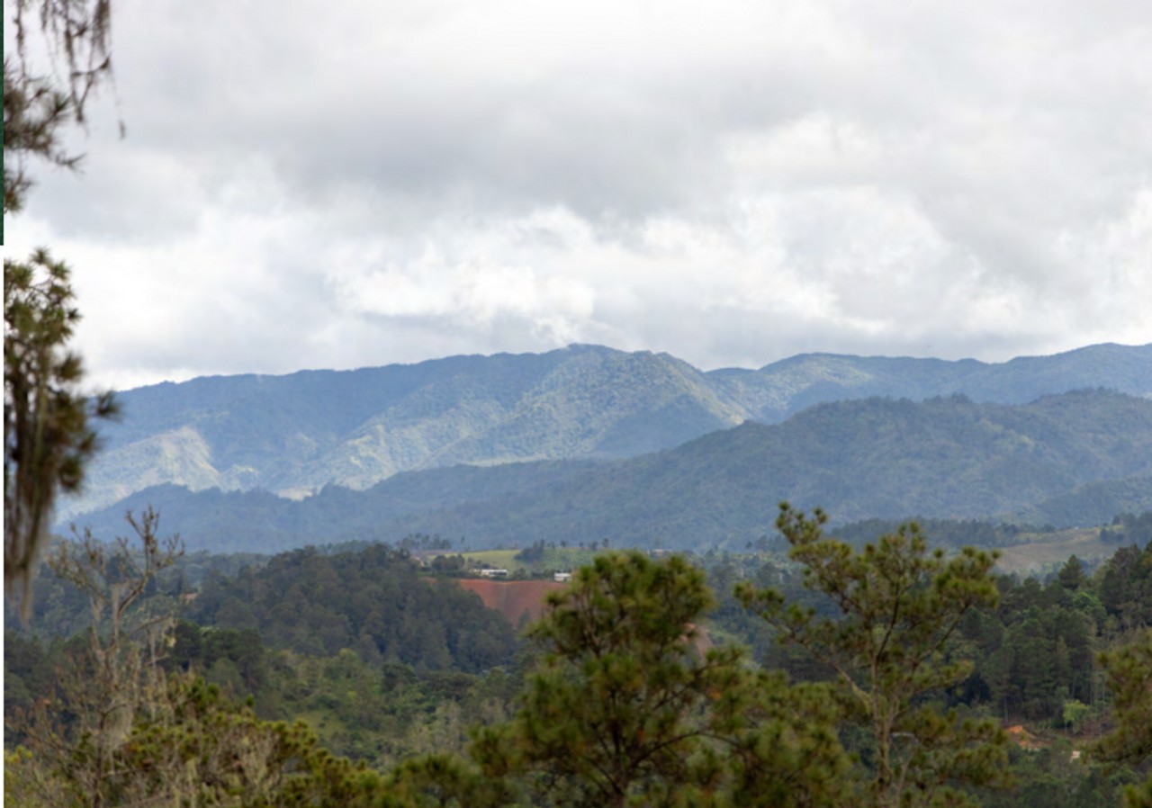 solares y terrenos - Solar en venta en las montañas Constanza 6