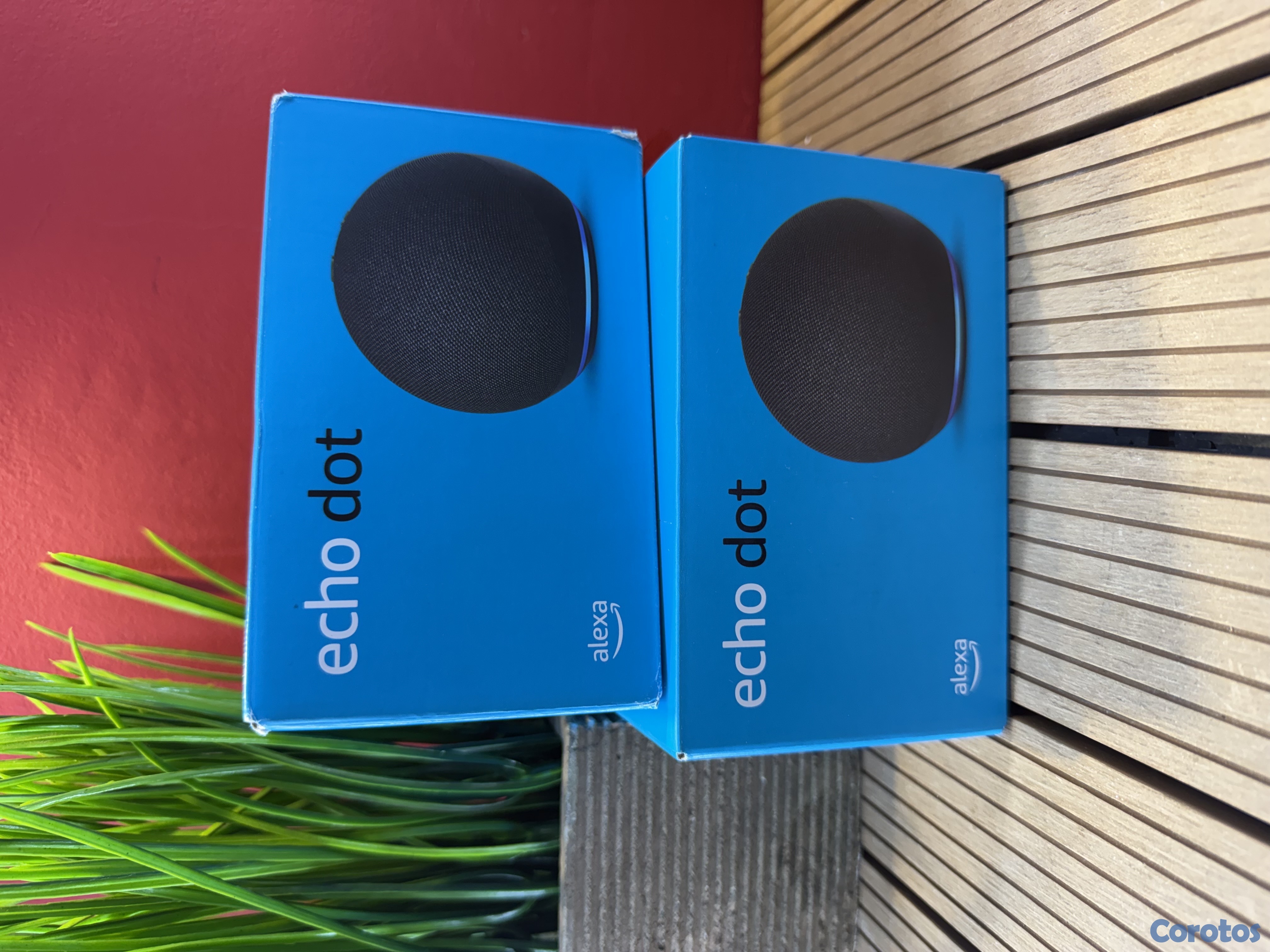 camaras y audio - Echodot Nuevo