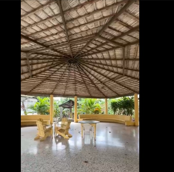 solares y terrenos - Finca 571 Tareas en Maguey, Villa Tapia 3