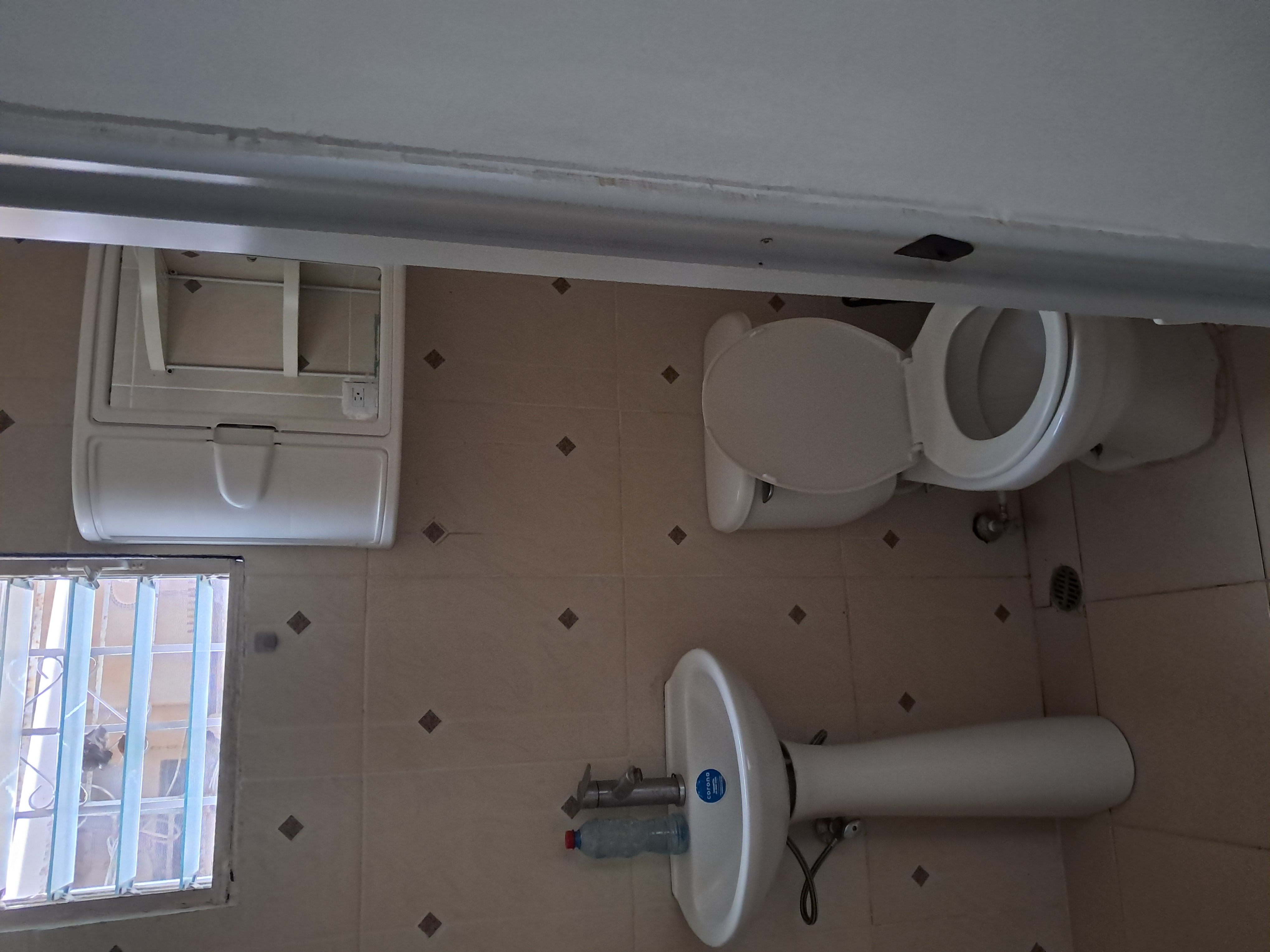 apartamentos - Alquilo apartamento tipo estudio  3