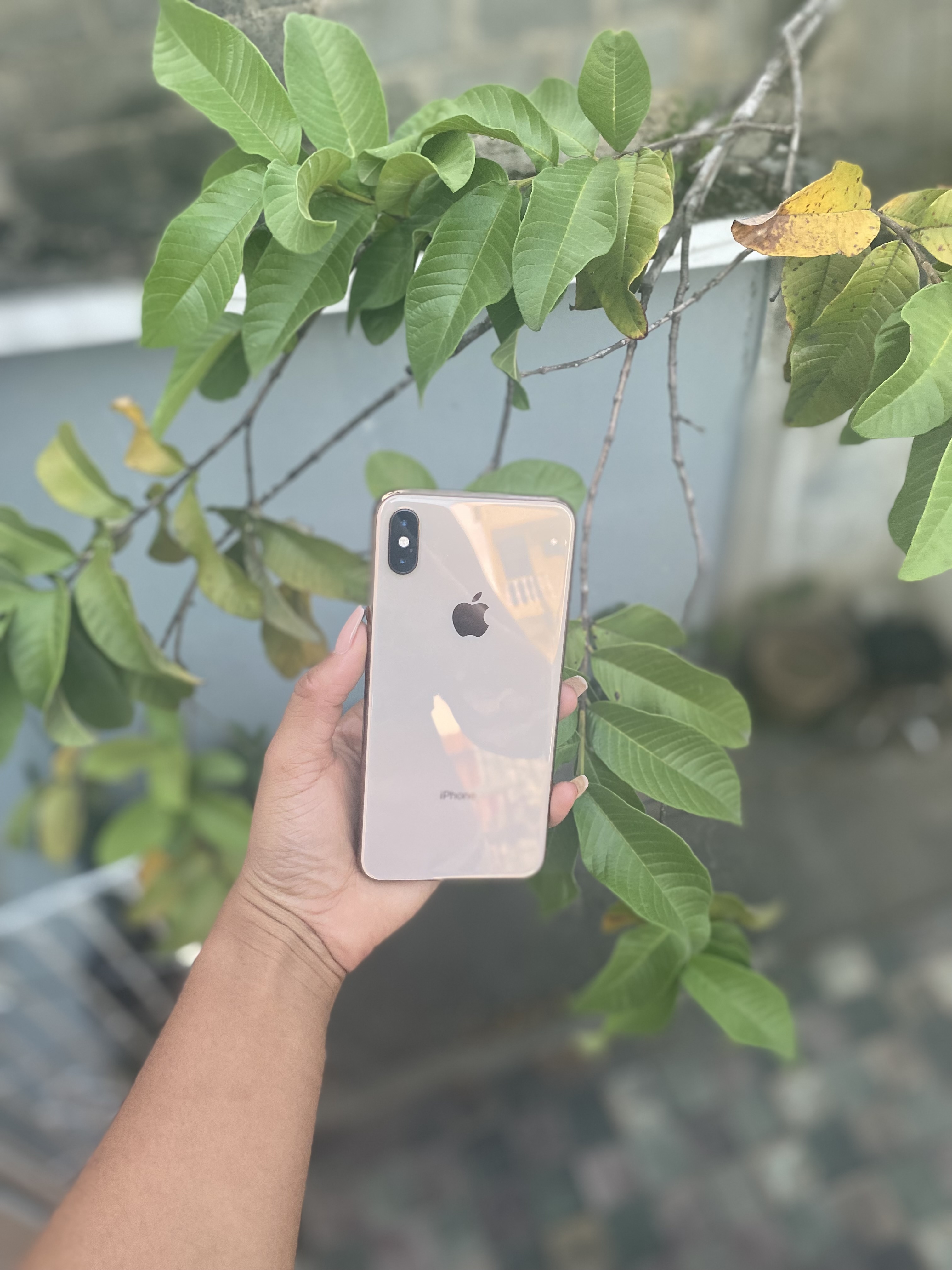celulares y tabletas - Vendo iPhone , está en Perfecta condiciones 2