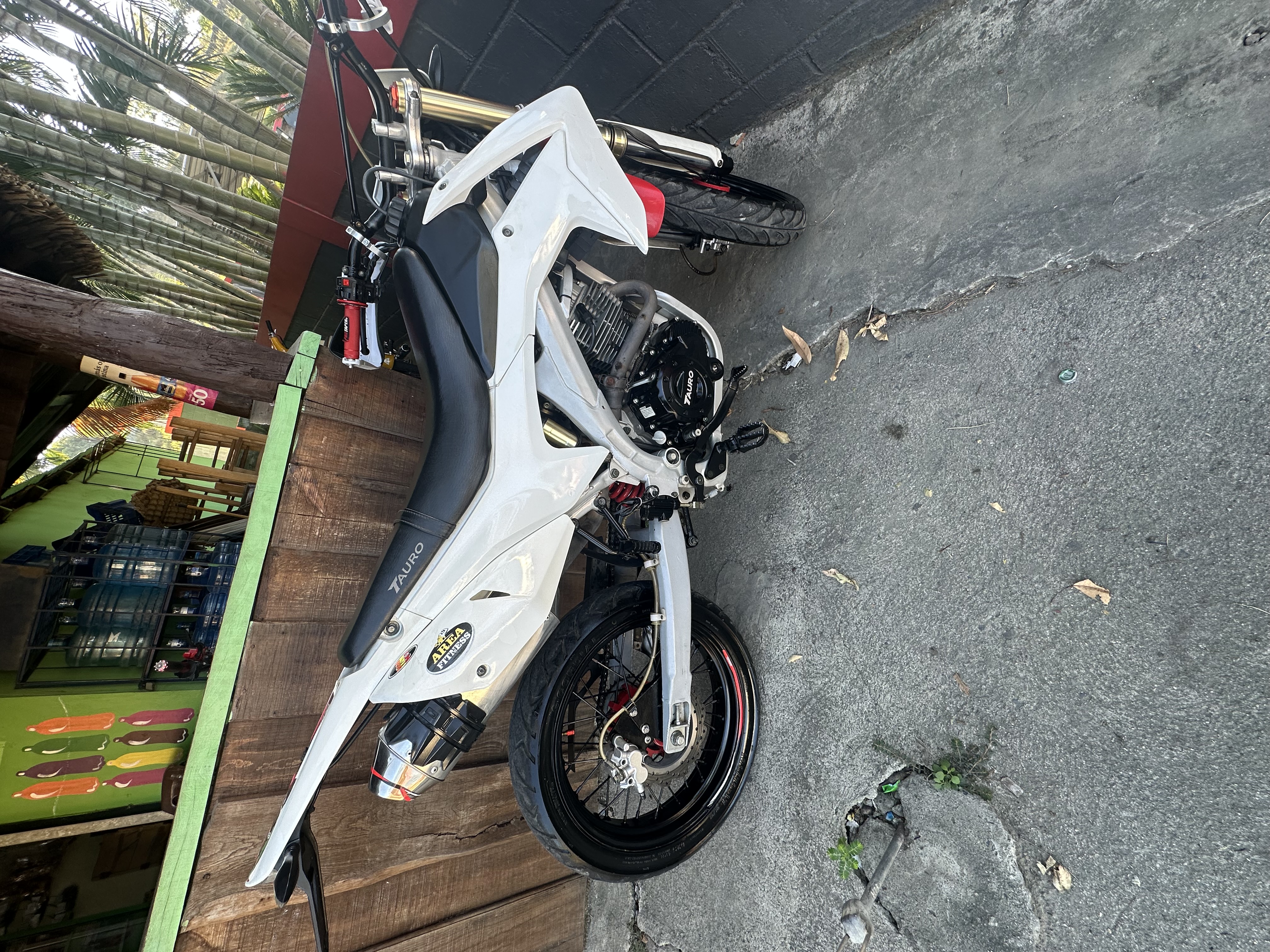 motores y pasolas - Tauro CRX 250  4