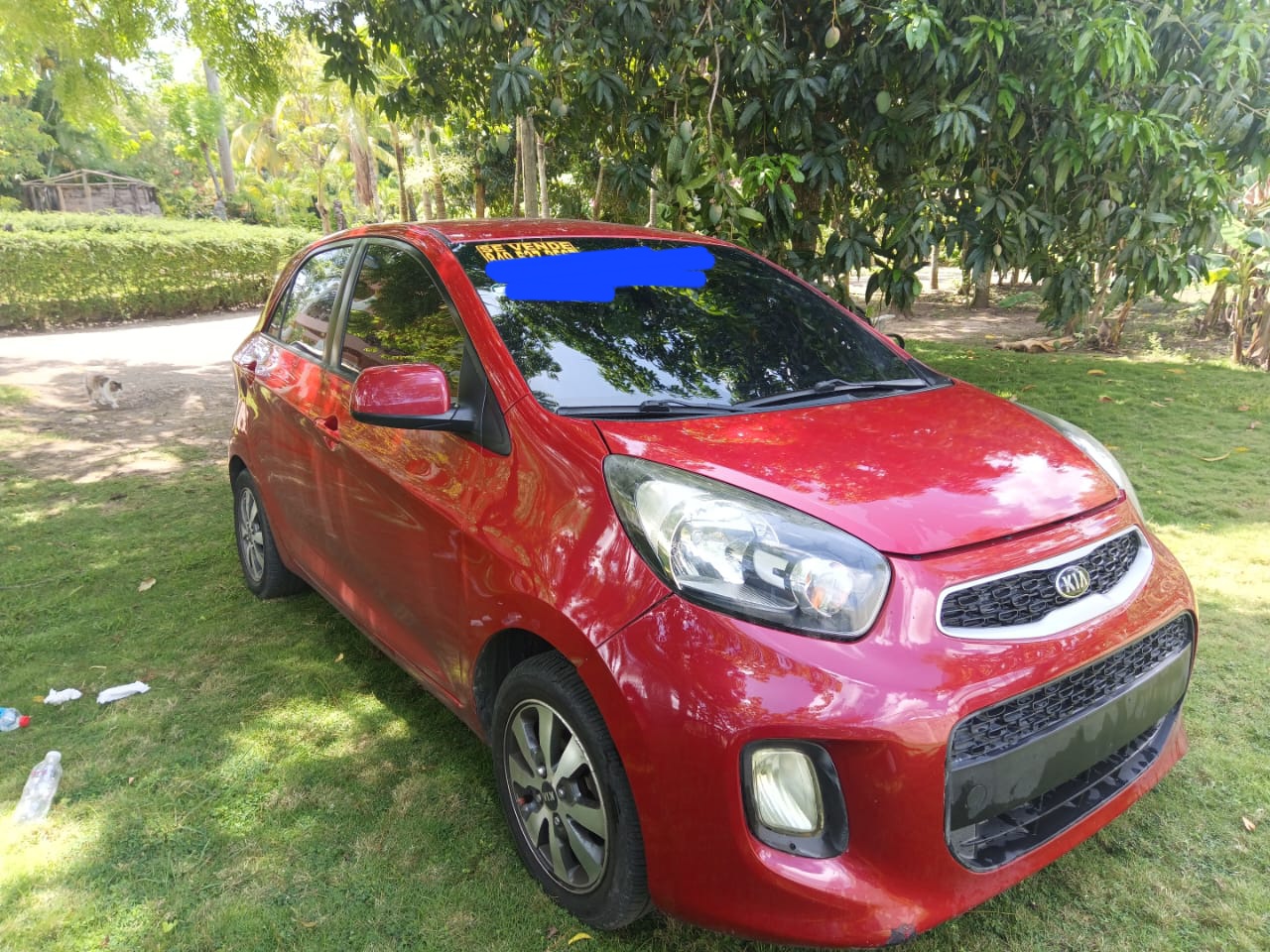 carros - kia picanto 2017 1