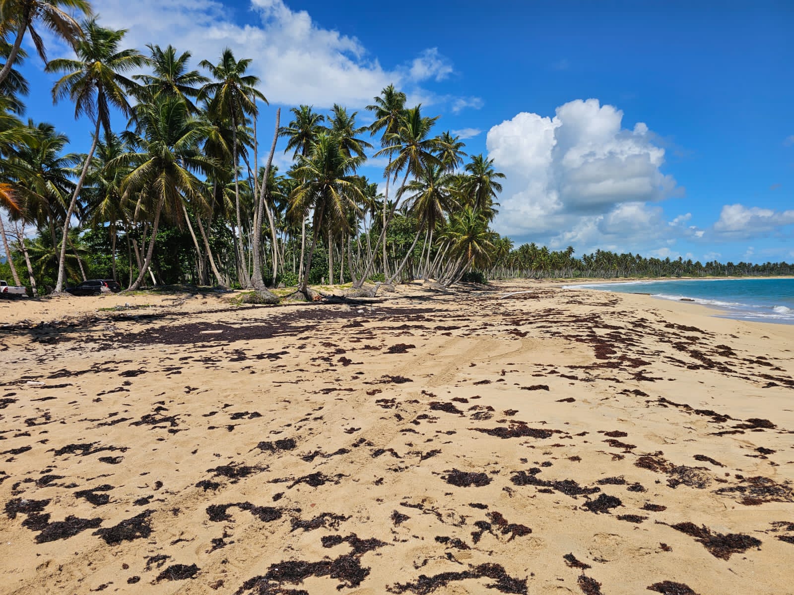 solares y terrenos - VENDO EN PLAYA EL LIMÓN EN MICHES HERMOSOS TERRENOS A PIE DE PLAYA  1