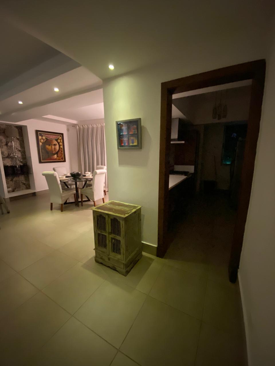 apartamentos - Alquilo Apartamento Amueblado en Piantini 4