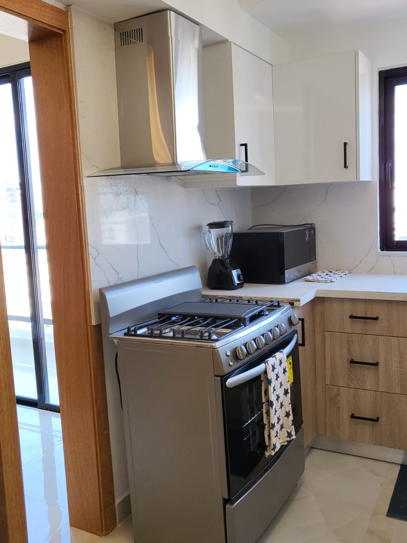 apartamentos - Apartamento Amueblado en Alquiler Nuevo En Naco 2 Habitaciones 2