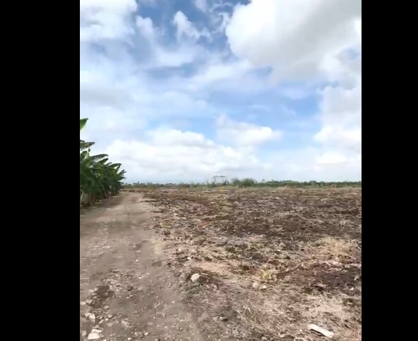 solares y terrenos - Finca 571 Tareas en Maguey, Villa Tapia 4