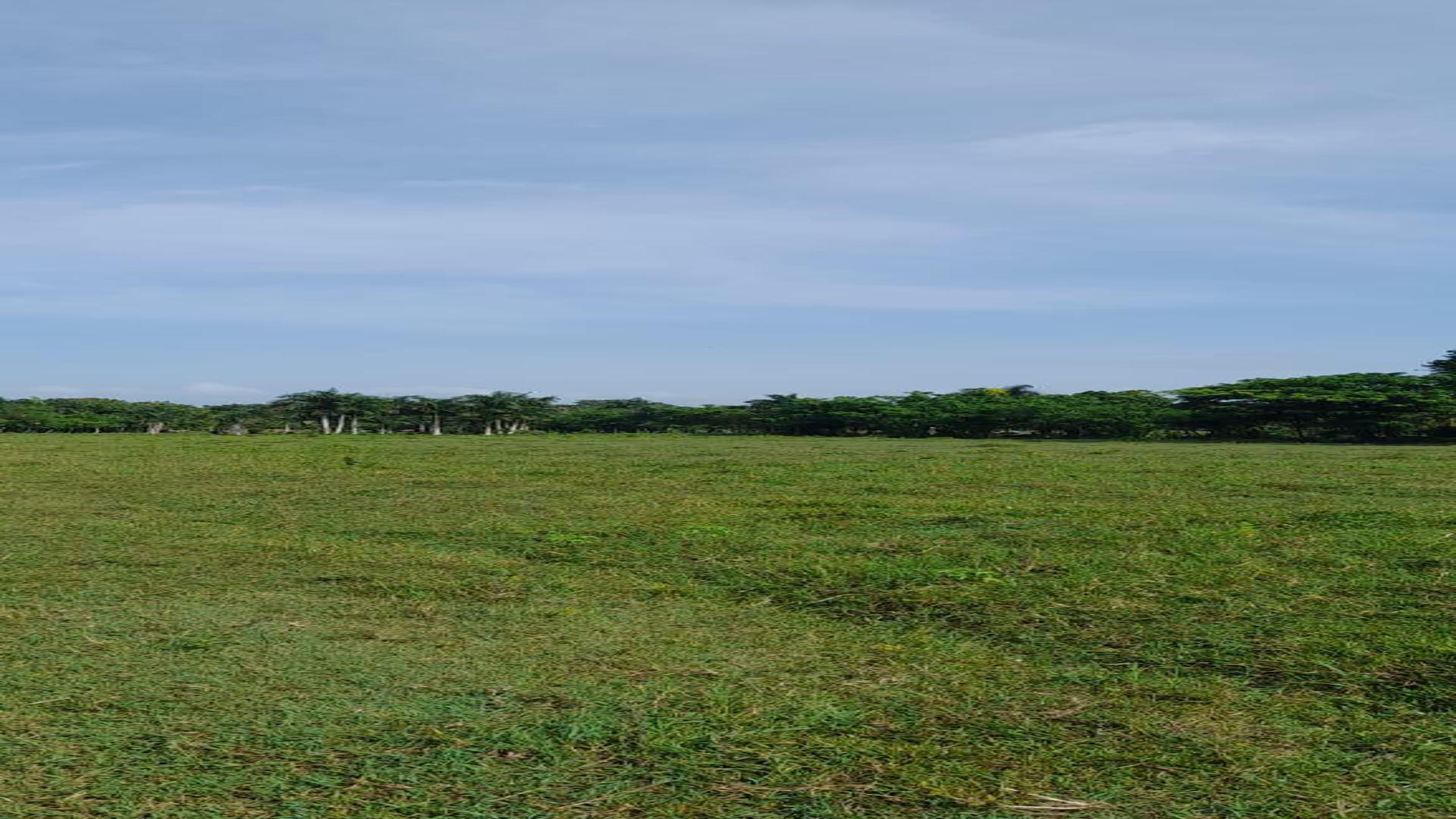 solares y terrenos - Vendo terrenos en Carretera la Isabela 4