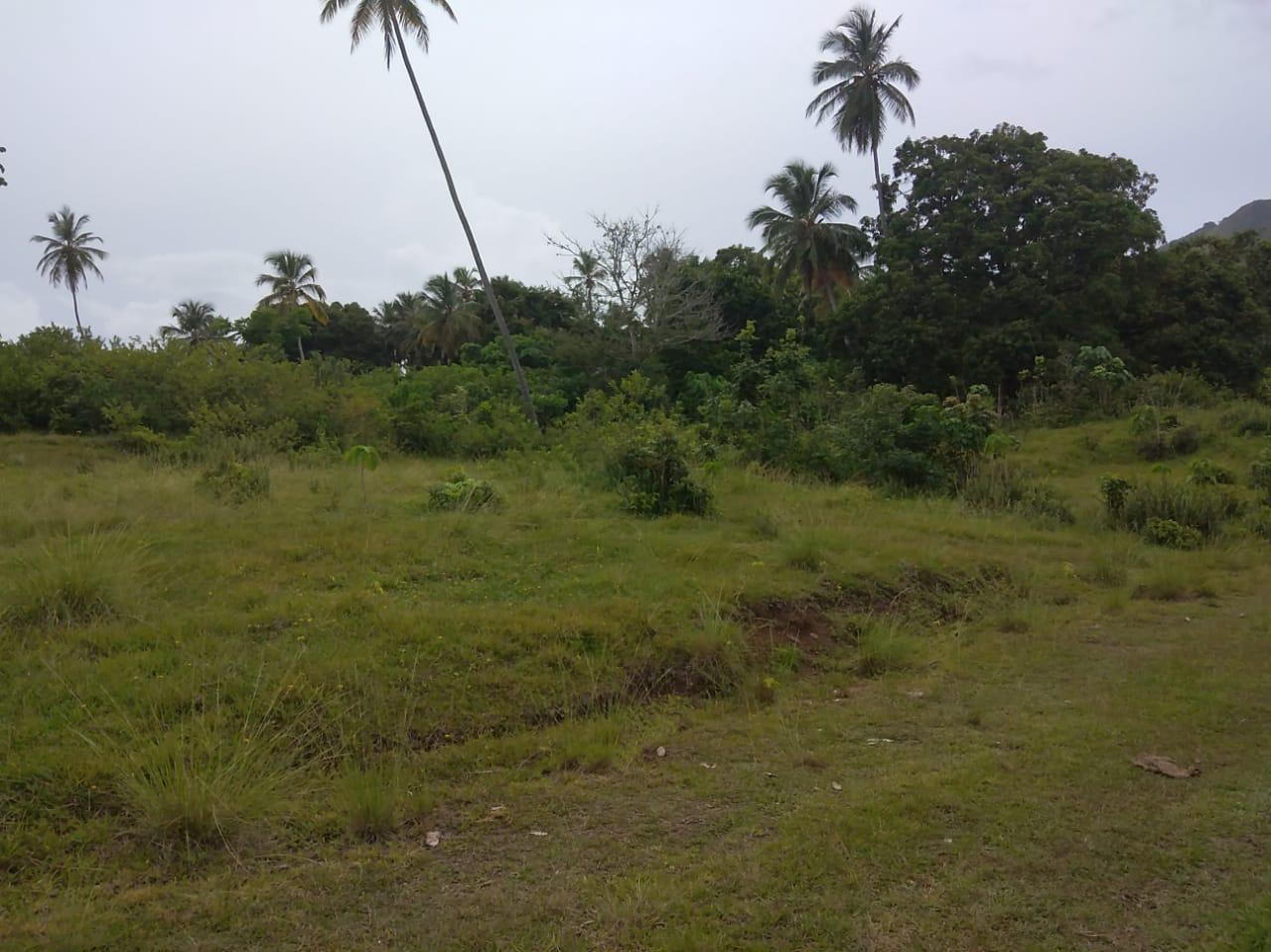 solares y terrenos - Terreno en venta en Las Garitas, Samaná