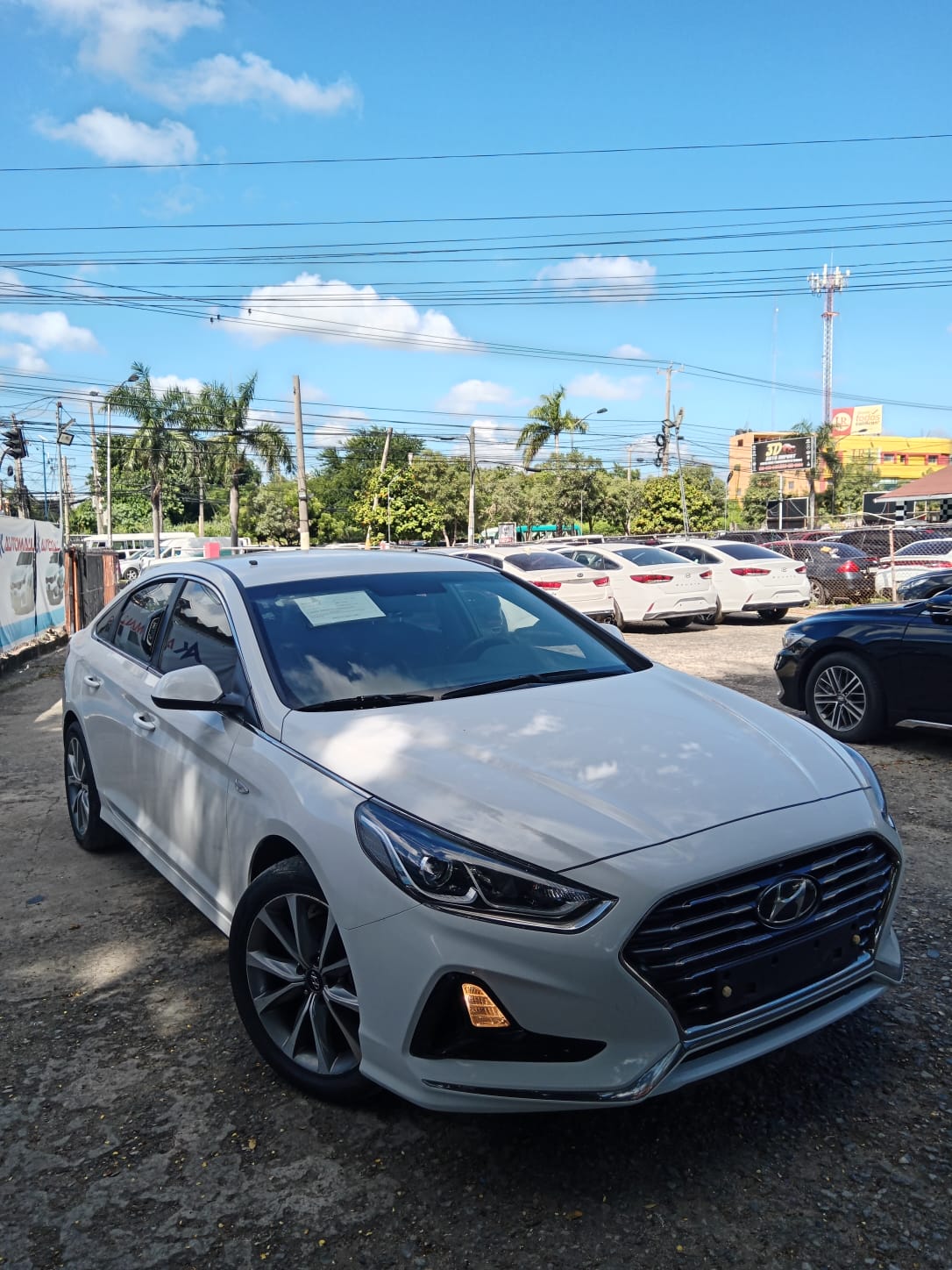 carros - HYUNDAI SONATA NEW RISE 2019 BLANCO 5