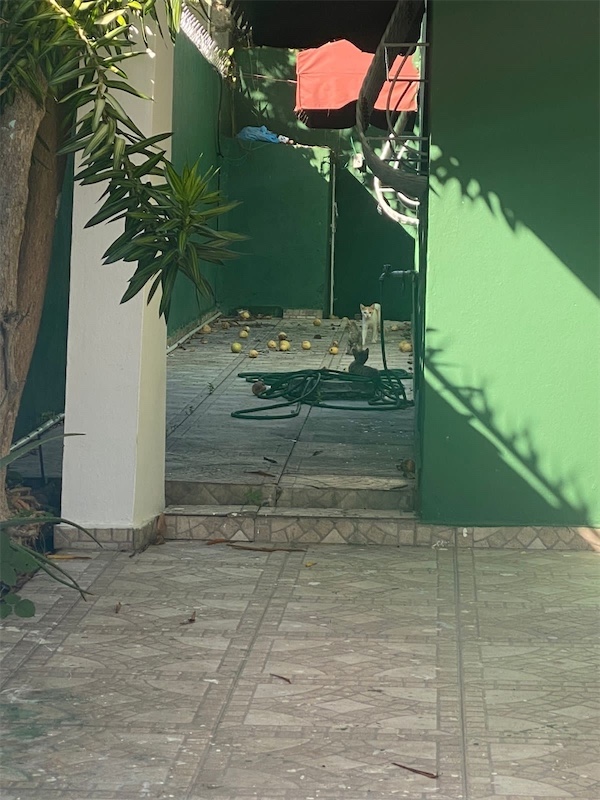 casas - Venta de casa en la Charles de Gaulle Santo Domingo este  9