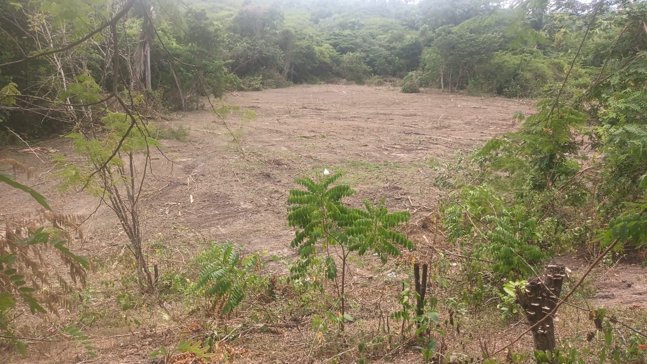 solares y terrenos - 🌿Microfincas en Venta Desde 6 Tareas por $4,000US 0