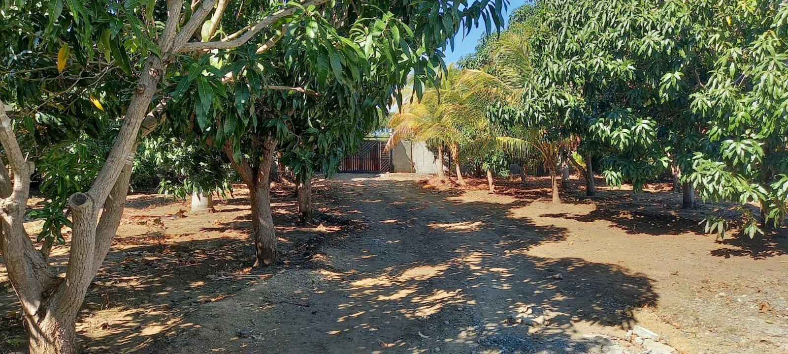 casas vacacionales y villas - Finca 10 tareas en Matanzas, Baní  0