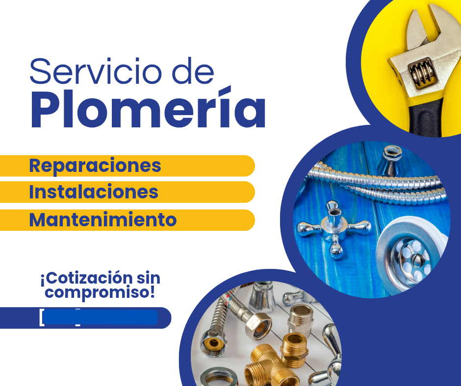 servicios profesionales - Servicio de Mantenimiento  0
