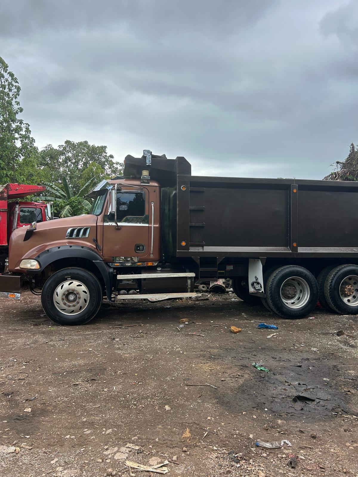 camiones y vehiculos pesados - CAMION MACK GRATINE   2009  2