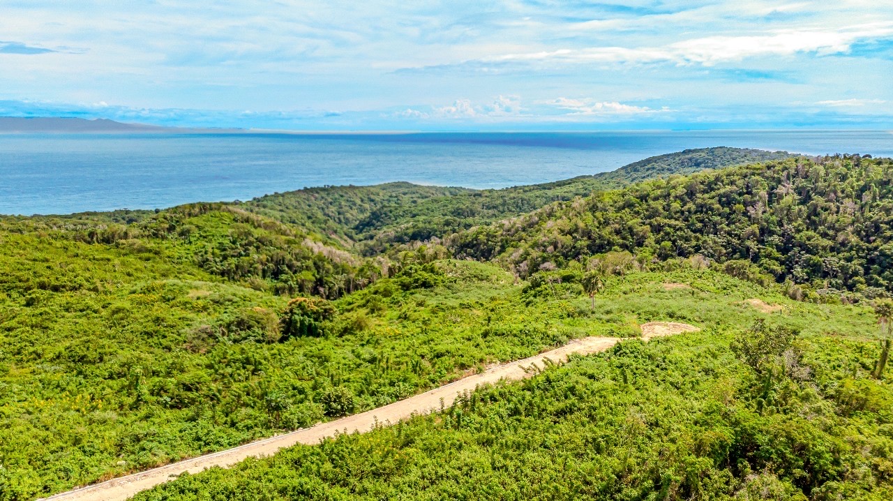 solares y terrenos - Terreno de 1000 M2 con vista al Mar en Barahona 