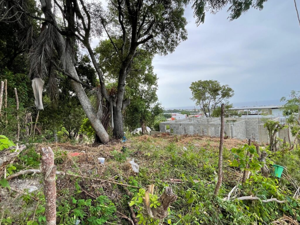solares y terrenos - TERRENO EN TORRE ALTA, PUERTO PLATA 6