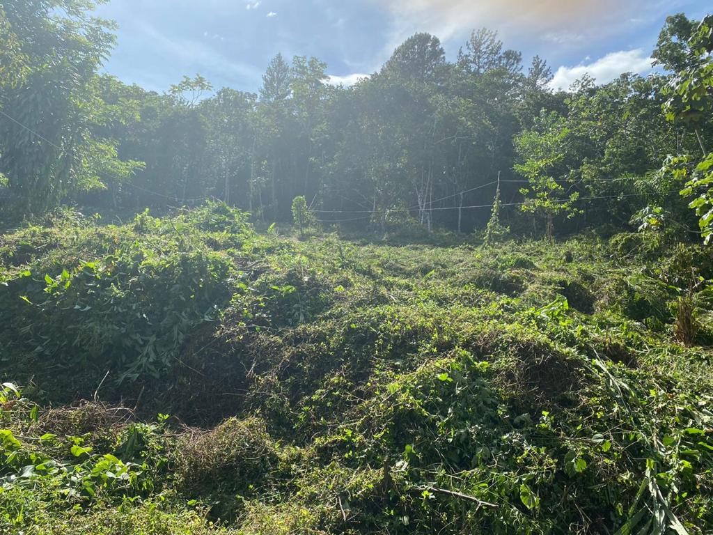 solares y terrenos - Finca en la Cumbre, Arroyo Vuelta Arriba 3