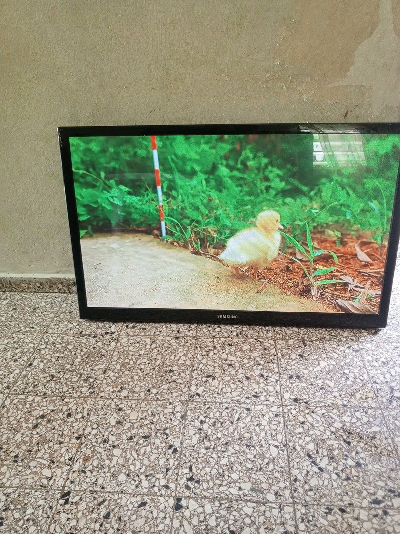 tv - Vendo tv plasma samsung de 43 pulgadas  1