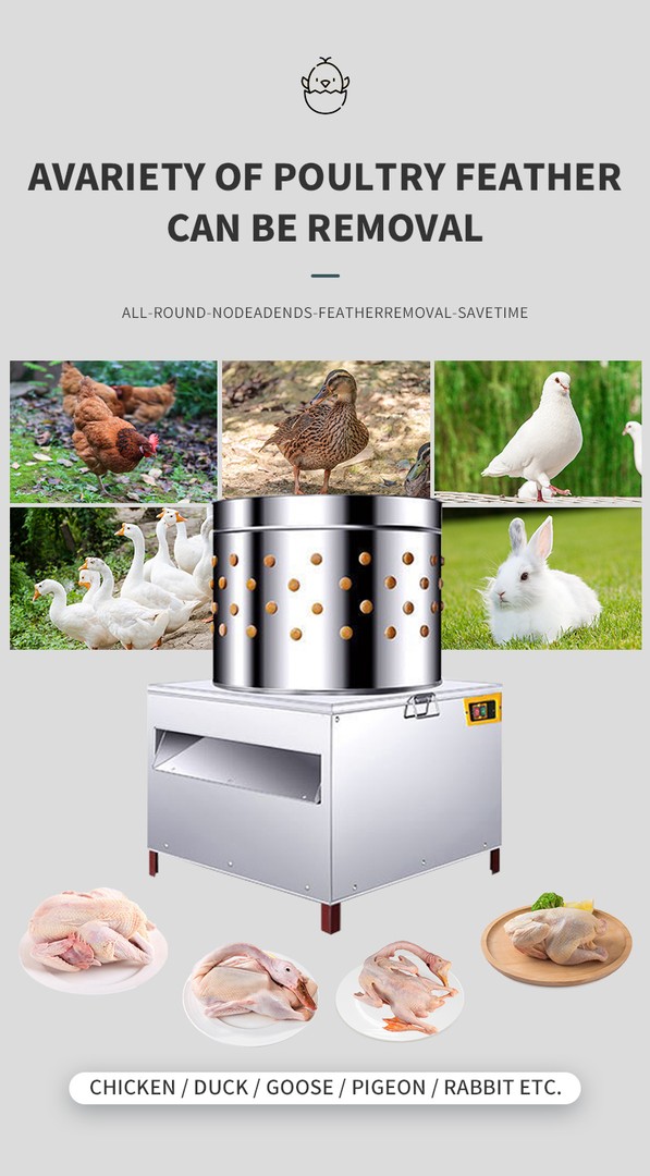equipos profesionales - Maquina industrial peladora de ave pollo pato ganso y conejo pelador desplumador 1