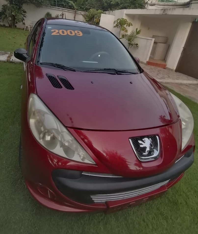 carros - Peugeot 207 2009
