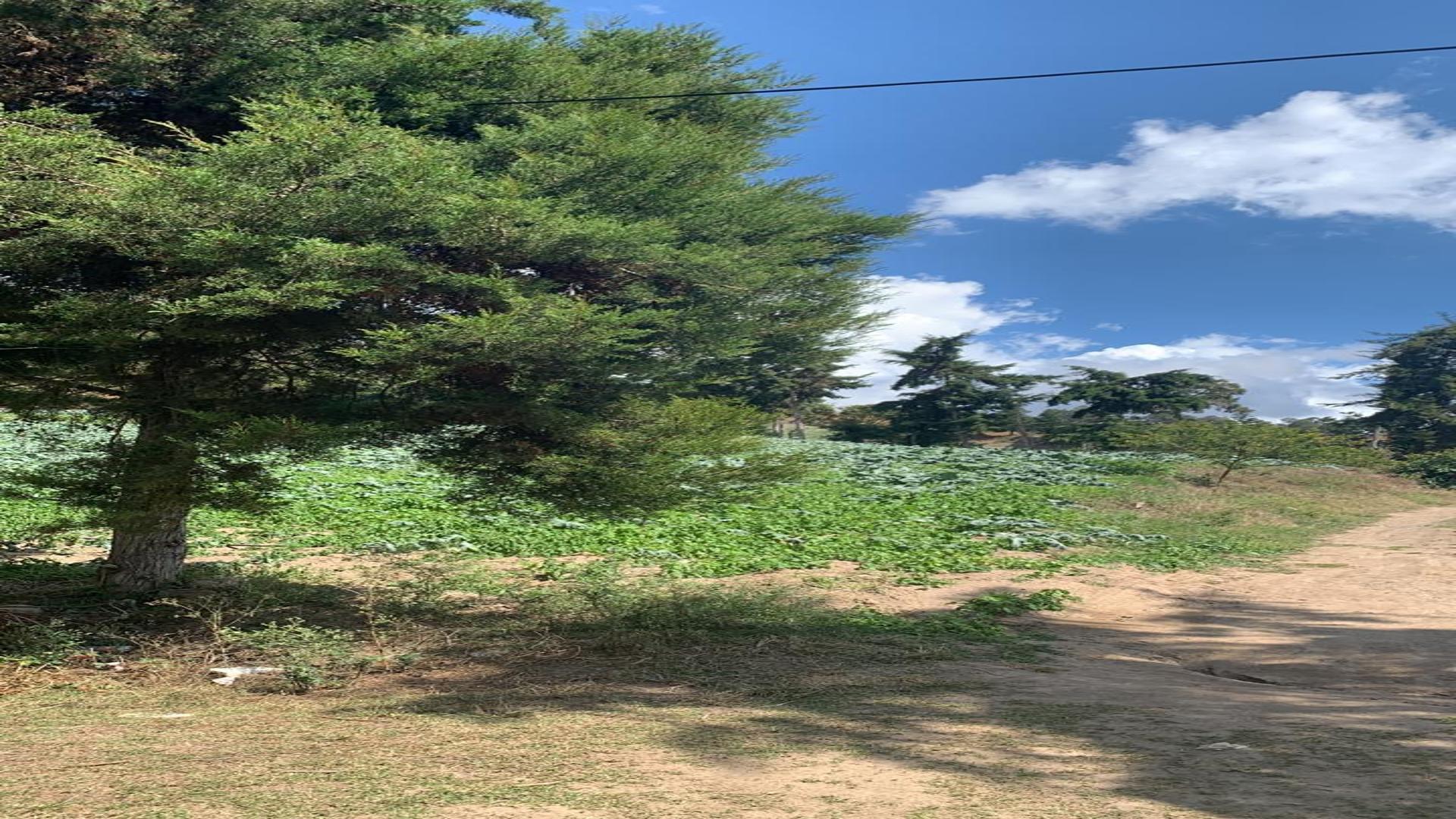 solares y terrenos - Venta de Solares en Constanza - Excelente Ubicación 3