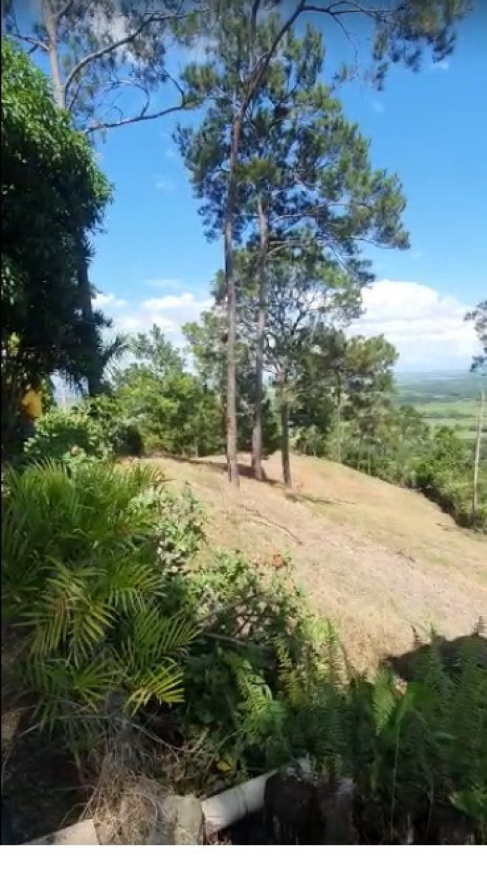 solares y terrenos - 🌄 Finca en Venta en La Vega 0