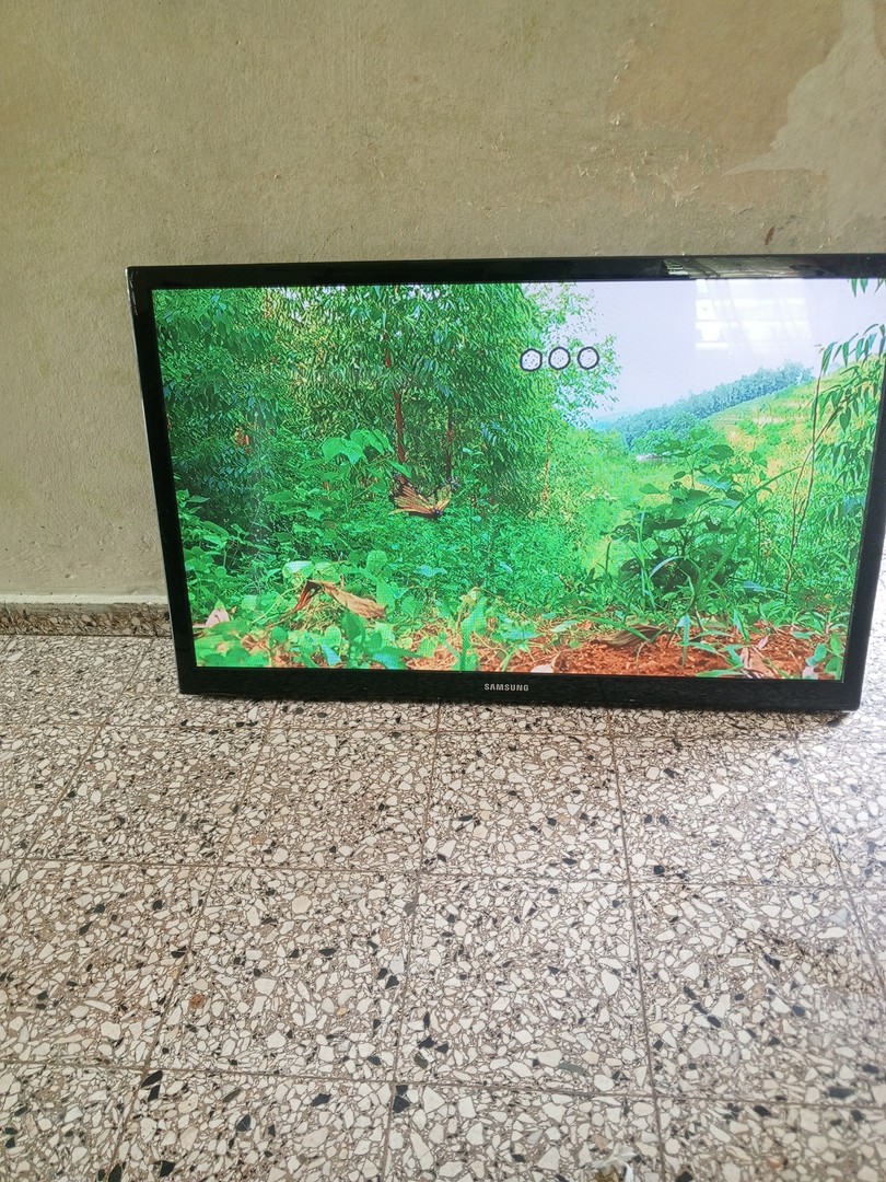 tv - Vendo tv plasma samsung de 43 pulgadas  2