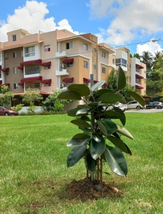 apartamentos - Dios📍Mudate al lado del Bravo y Jumbo Prolongación 27 de febrero, Colinas oeste 3