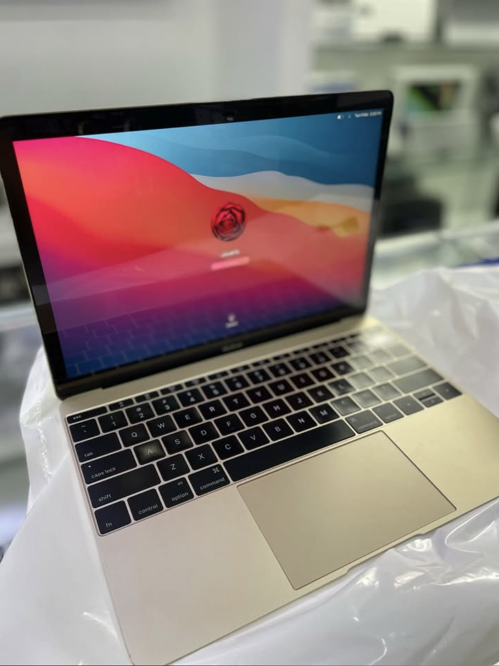computadoras y laptops - Macbook Dorada 12 pulgadas 0