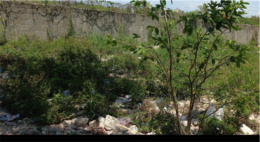 solares y terrenos - Venta de solar en la autopista de san Isidro Santo Domingo este de 440mts  0