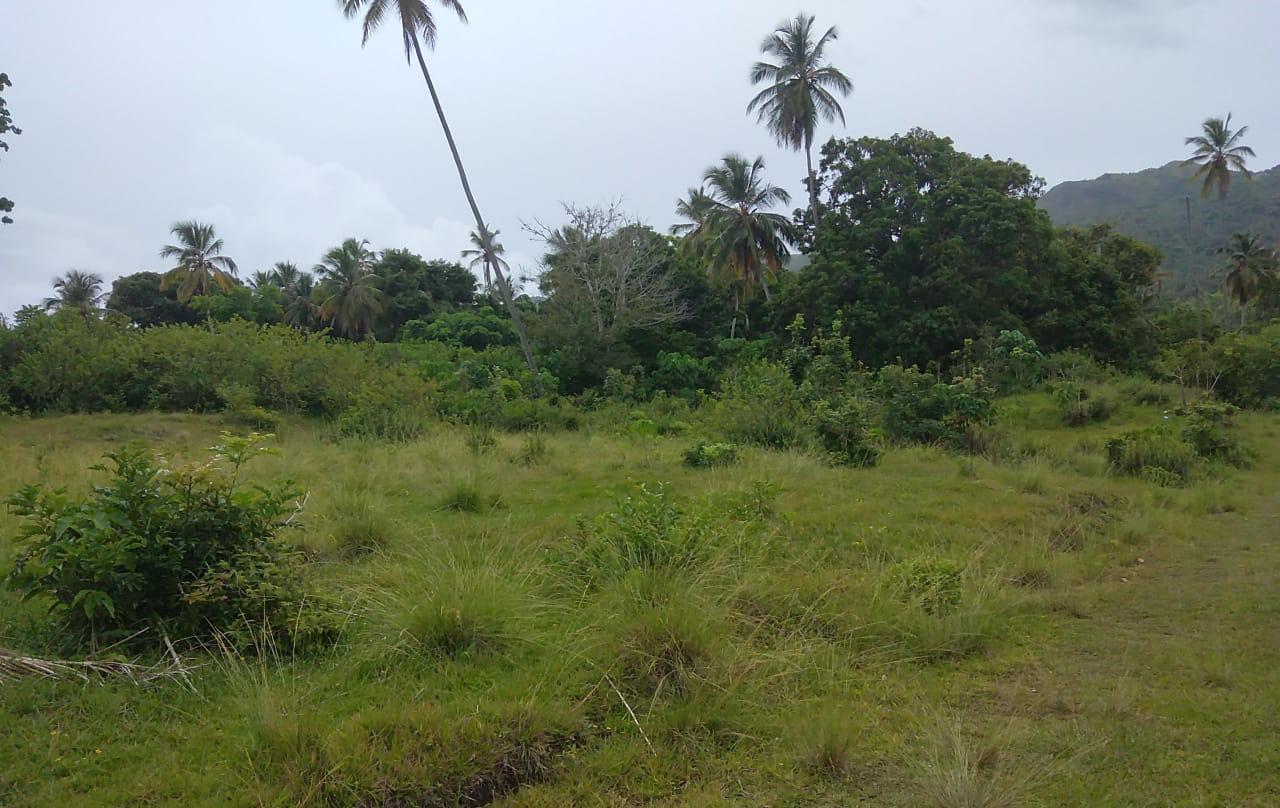 solares y terrenos - Terreno en venta en Las Garitas, Samaná 1