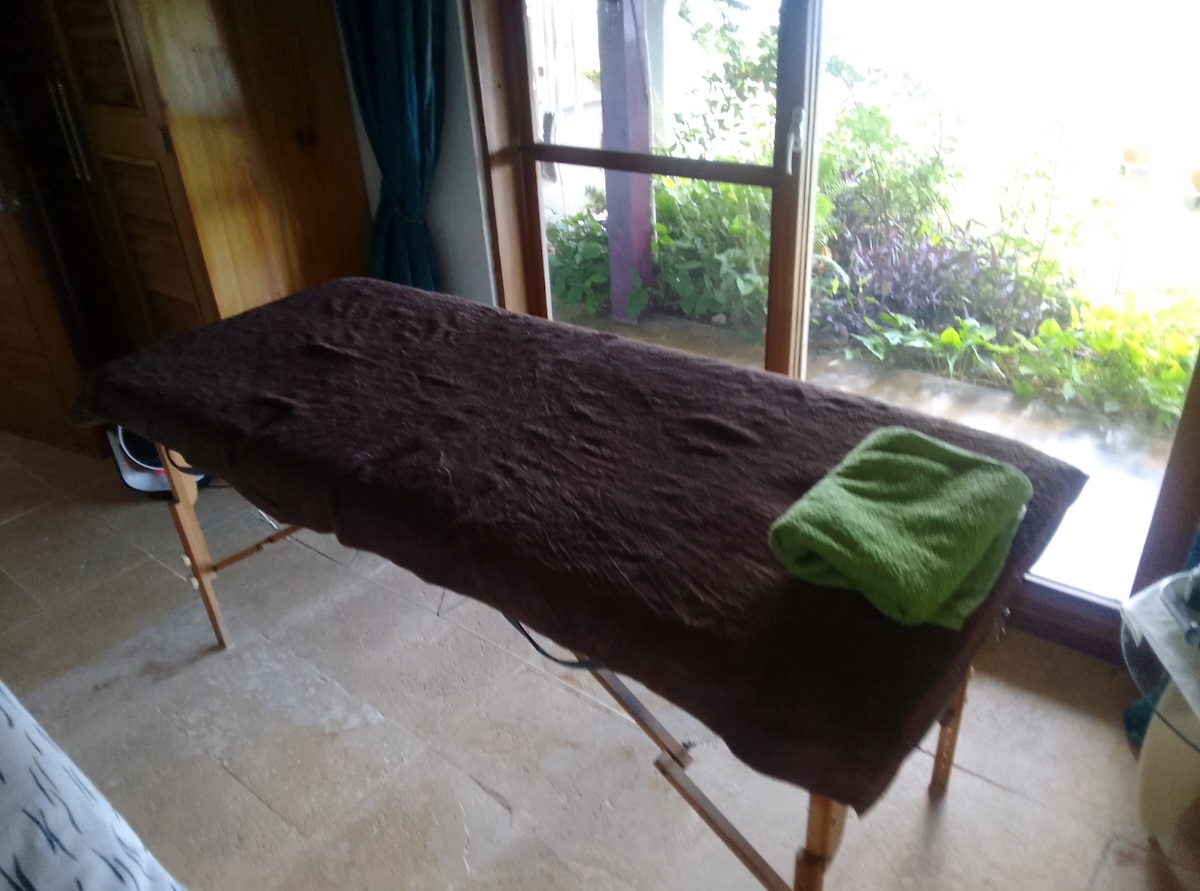 servicios profesionales - Masaje Anti celulitis 0