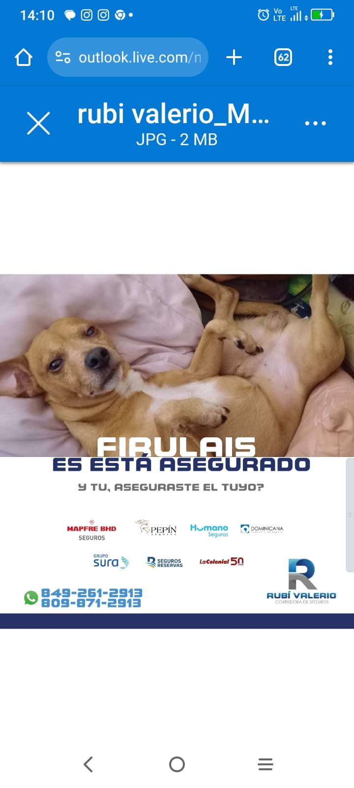 servicios profesionales - Es mejor tenerlo y no necesitarlo que necesitarlo! 4