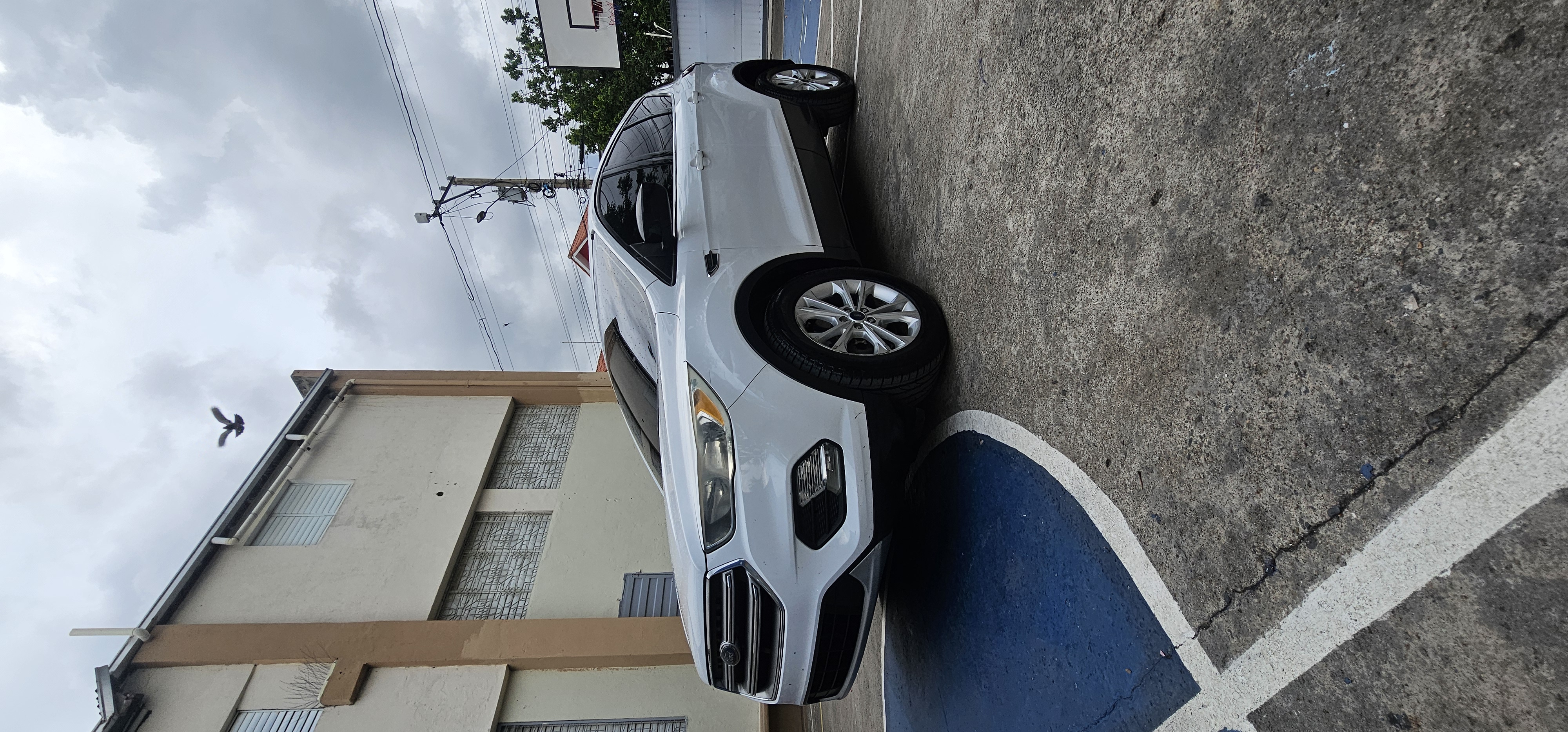 jeepetas y camionetas - Ford Escape 2017 SE 1.5