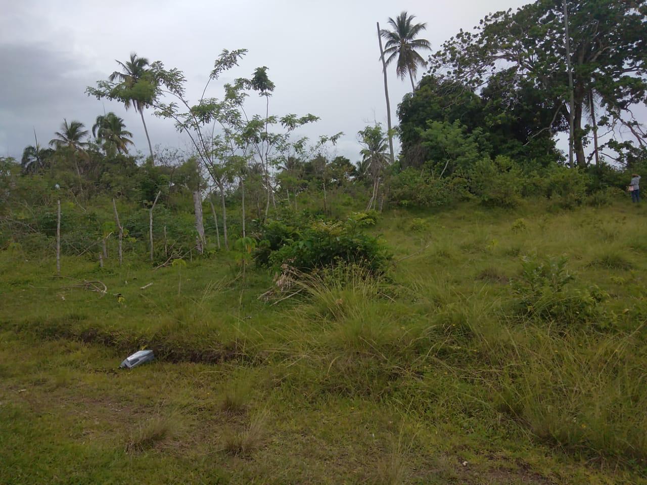 solares y terrenos - Terreno en venta en Las Garitas, Samaná 2