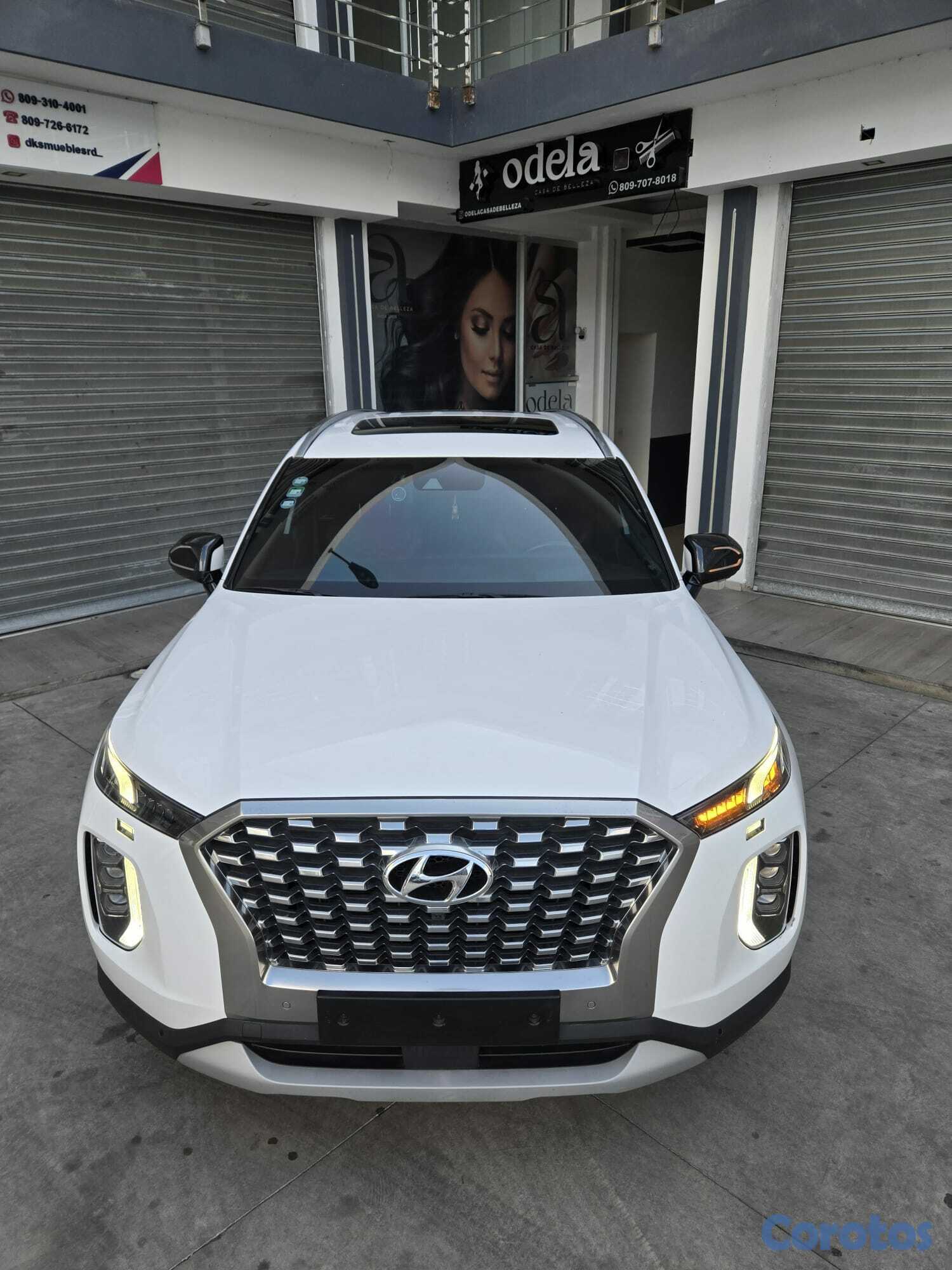 jeepetas y camionetas - HYUNDAI PALISADE 2019 BLANCA GASOLINA 12