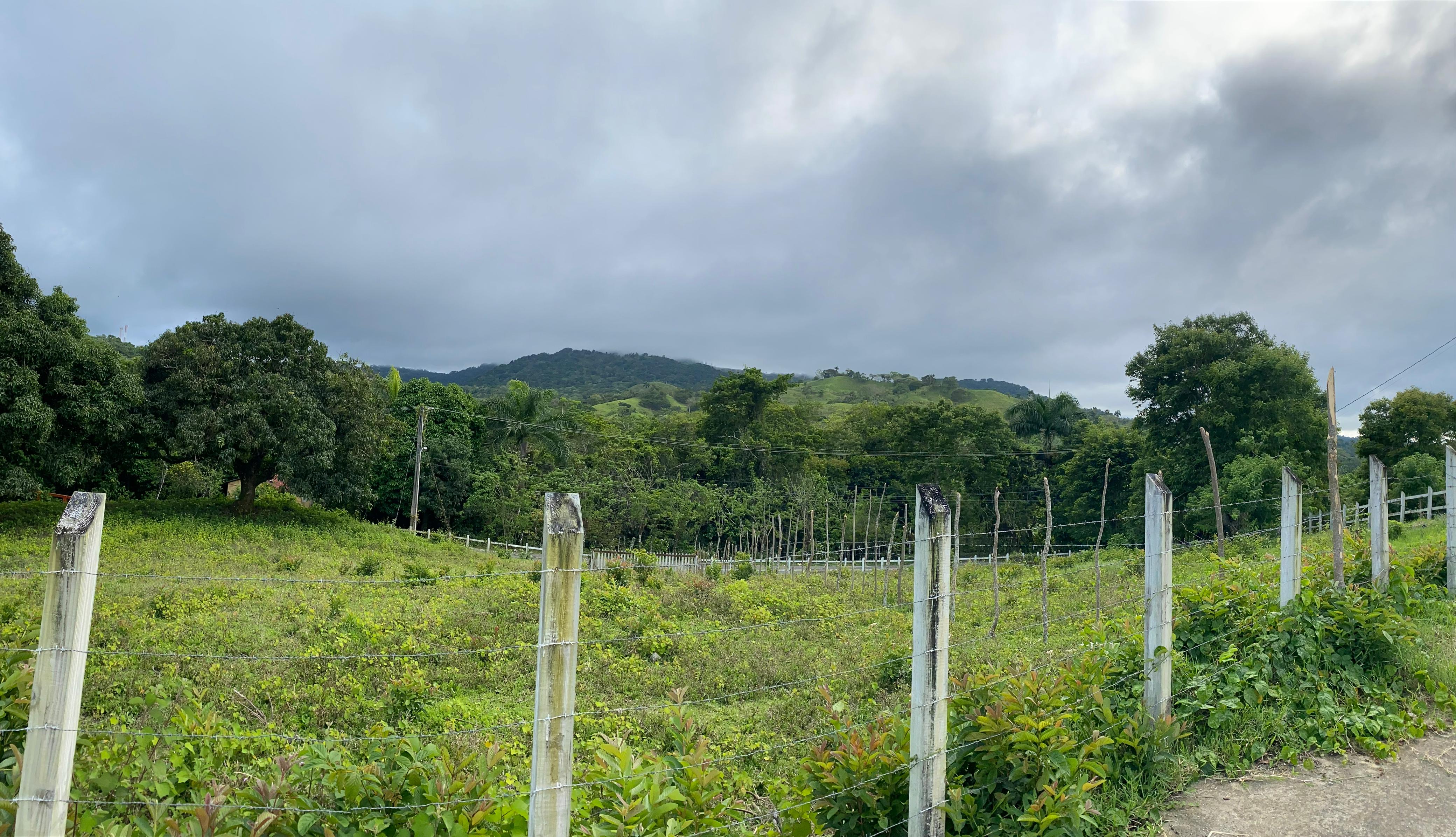 solares y terrenos - Solar en Venta en Pedro García - Santiago Rd 6